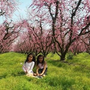 Meet your Posher, Freddy